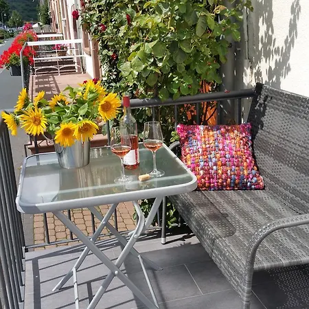 Ferienhaus-raju-zeltingen *
