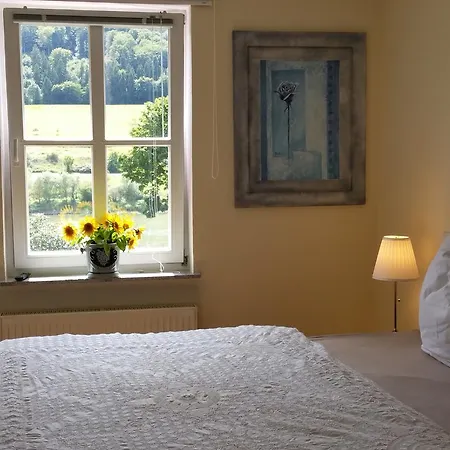 Ferienhaus-raju-zeltingen *