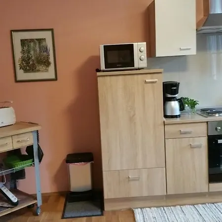 Ferienhaus-raju-zeltingen Lägenhet Zeltingen-Rachtig