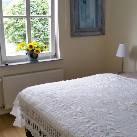 Ferienhaus-raju-zeltingen *