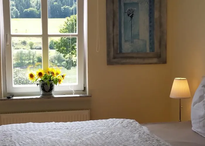 Ferienhaus-raju-zeltingen *