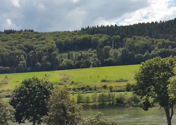 Ferienhaus-raju-zeltingen *